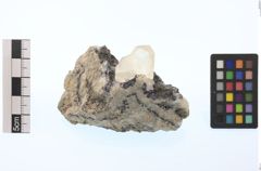 Foto von Calcit (NHMW-MIN-Ab170)